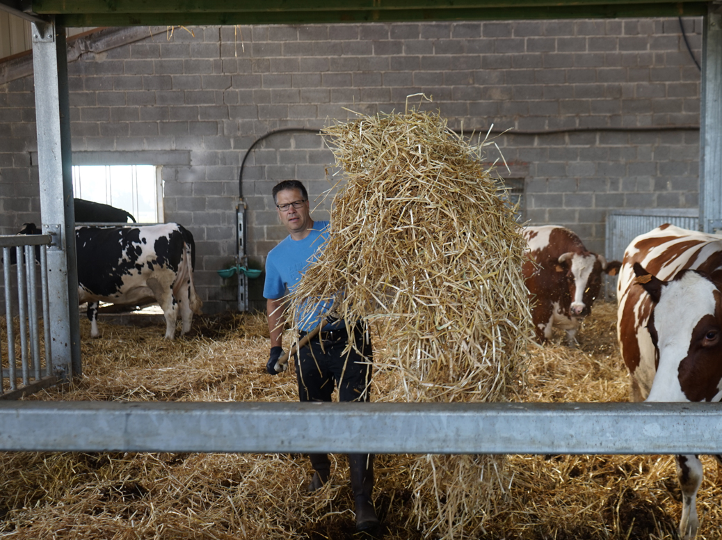 Lokale boeren steunen met oogstaandeel via akkerdelen.be 
